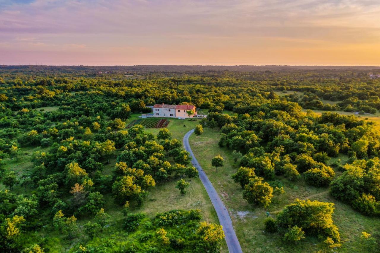 House Gracijela, Village Bulici Šajini Exteriör bild
