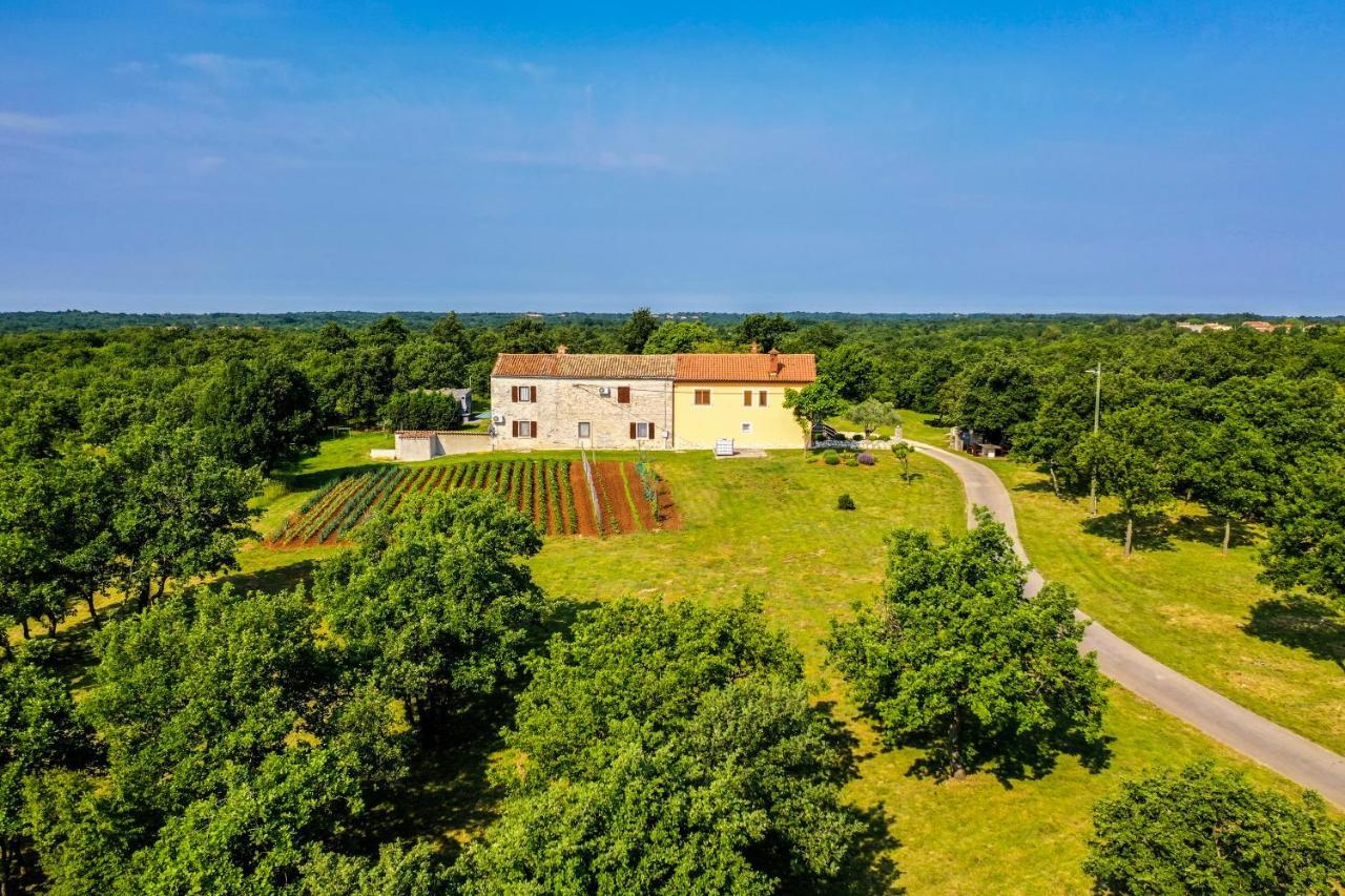 House Gracijela, Village Bulici Šajini Exteriör bild