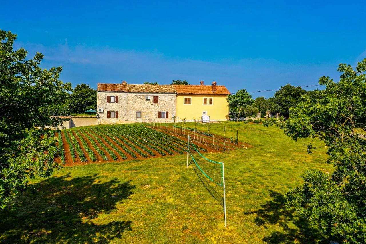 House Gracijela, Village Bulici Šajini Exteriör bild