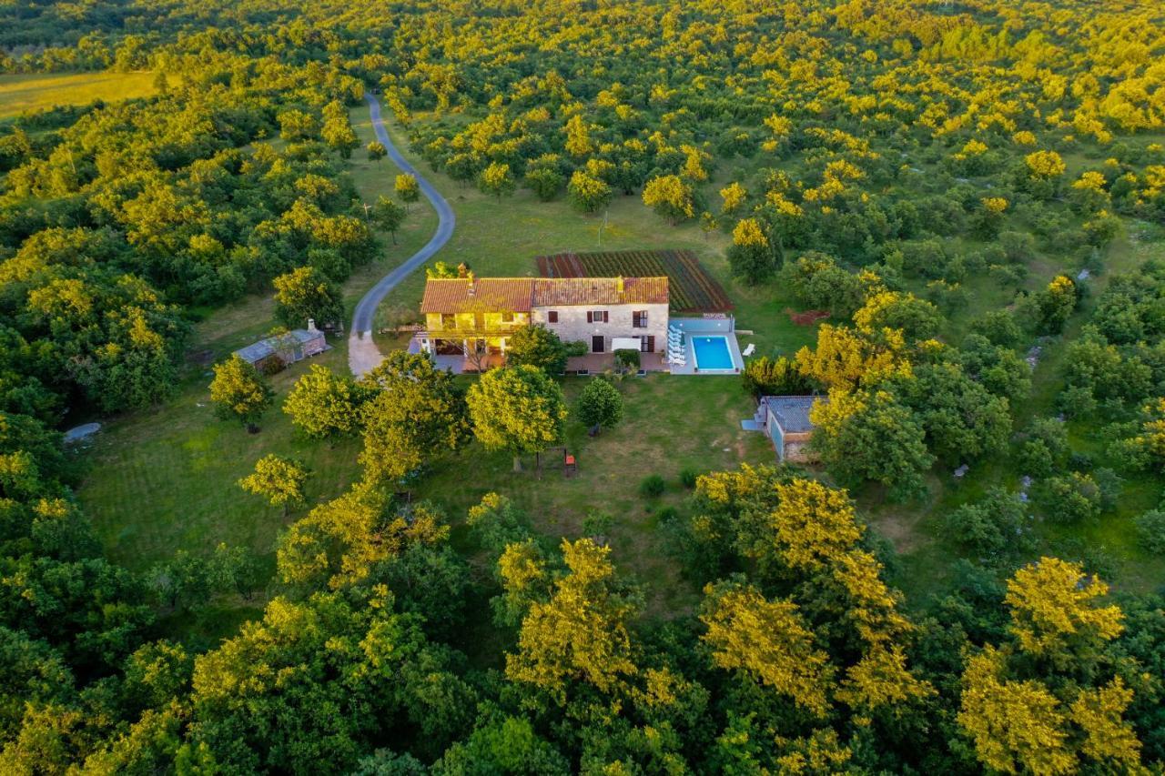 House Gracijela, Village Bulici Šajini Exteriör bild